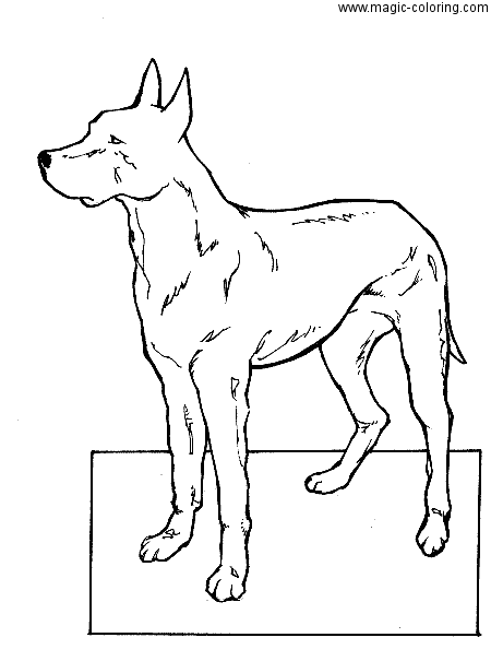 Simple Dog