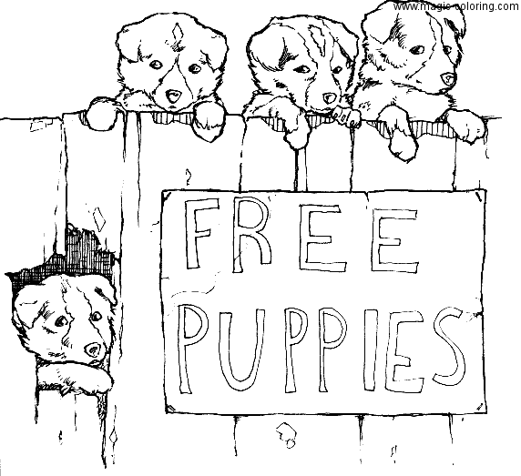 Free Puppies